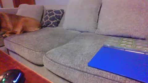 Snapshot of blaw_1321 chatting on 06-21-26, 12:35 blaw_1321 online show from 06-21-26, 12:35