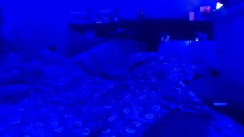 Snapshot of blaze2472 chatting on 05-28-26, 02:36 blaze2472 online show from 05-28-26, 02:36