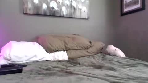 Snapshot of blazeentertainment2025 chatting on 02-21-26, 06:09 blazeentertainment2025 online show from 02-21-26, 06:09