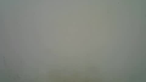 Black  brown online show from 11-07-25, 05:18