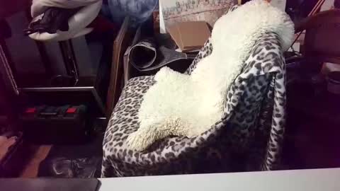 Snapshot of blindsurfer780299 chatting on 03-15-26, 05:13 blindsurfer780299 online show from 03-15-26, 05:13