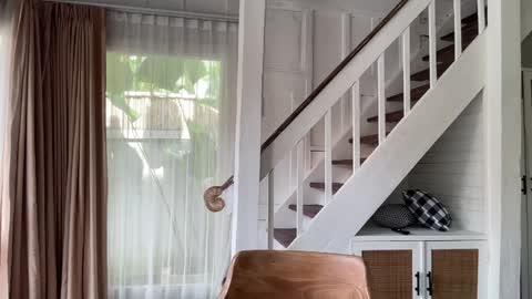 Emma Bloom online show from 01-14-26, 02:17