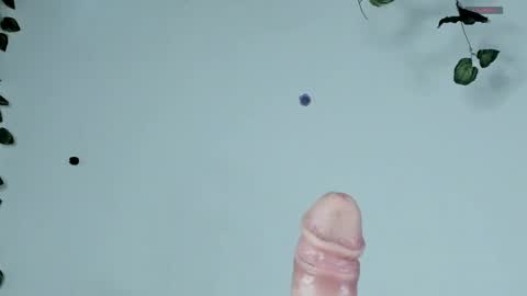 Sophie  online show from 04-12-26, 09:42