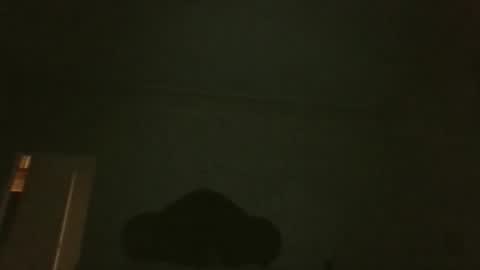 Snapshot of bluemoose70 chatting on 04-19-26, 02:55 bluemoose70 online show from 04-19-26, 02:55