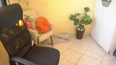 FLORAA online show from 01-23-25, 02:50