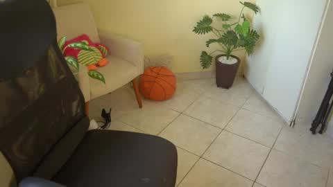 FLORAA online show from 03-11-25, 10:51