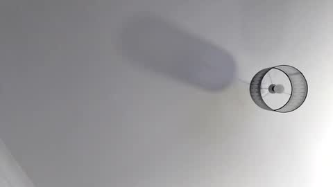 bobby160968 online show from 11-19-25, 07:03