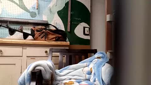 bobmarleybd1420 online show from 04-11-26, 10:08