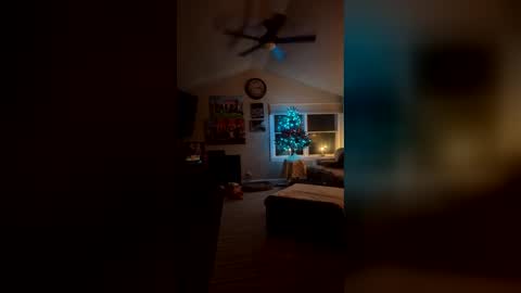 bodiddly64 online show from 12-14-25, 06:19