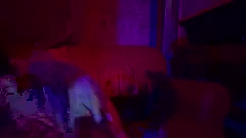 Sailorartemis online show from 04-26-26, 06:49