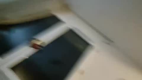 bomale89 online show from 12-22-24, 11:09