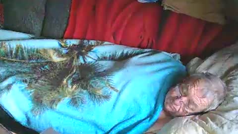 Snapshot of bomber59potsdam chatting on 01-25-25, 11:02 Bomber59potsdam online show from 01-25-25, 11:02