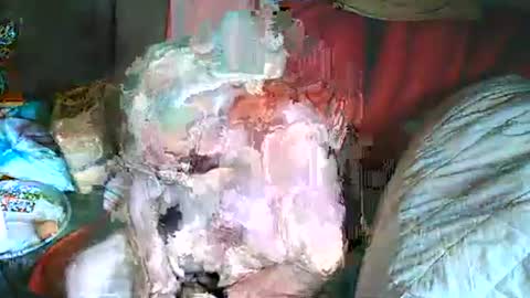 Snapshot of bomber59potsdam chatting on 03-02-25, 10:35 Bomber59potsdam online show from 03-02-25, 10:35