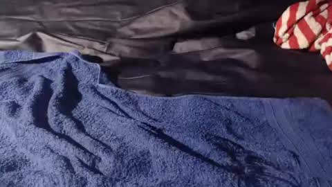 Snapshot of bomm65 chatting on 11-19-25, 03:12 Bomm65 online show from 11-19-25, 03:12