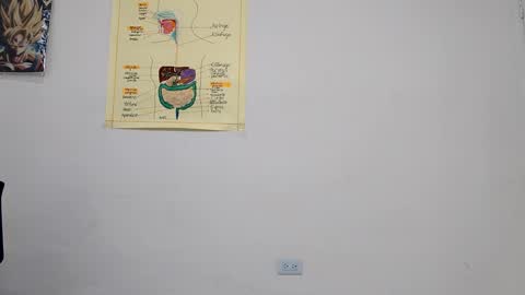 Snapshot of boner_steve chatting on 09-14-25, 03:49 Boner Steve online show from 09-14-25, 03:49