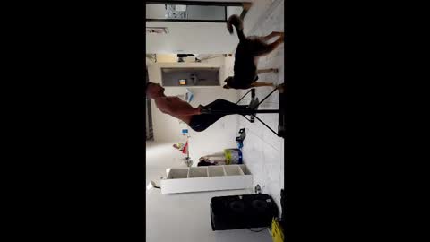 Snapshot of boner_steve chatting on 11-03-25, 07:26 Boner Steve online show from 11-03-25, 07:26