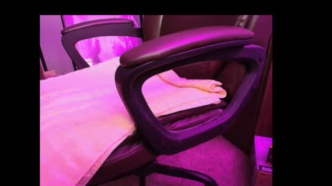 Snapshot of bonerboy765 chatting on 03-10-26, 03:11 Grizz online show from 03-10-26, 03:11