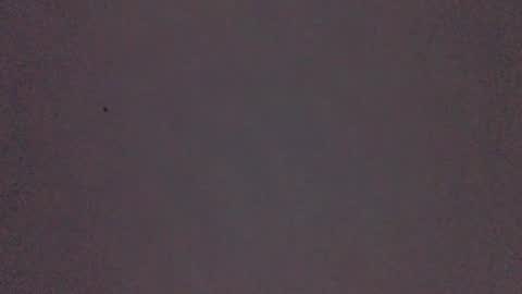 bonershow online show from 11-21-25, 02:27