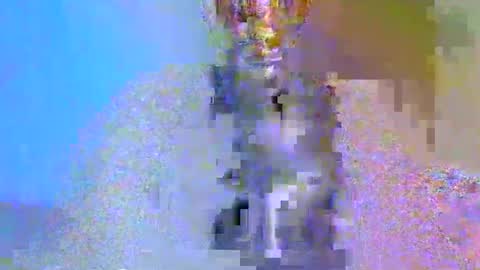 Snapshot of boobbyb chatting on 10-24-25, 08:22 boobbyb online show from 10-24-25, 08:22