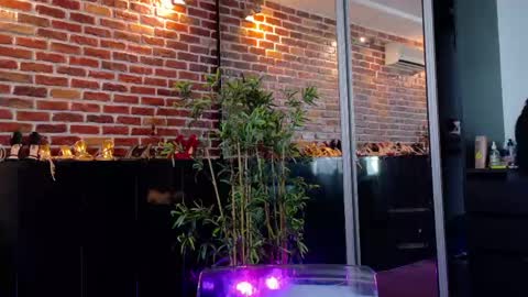 boobzilla_ online show from 05-27-26, 05:04