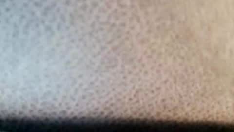 Boolika online show from 03-11-25, 10:53