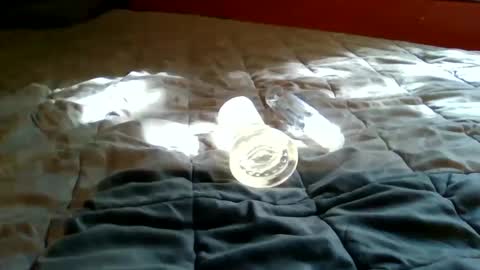 Snapshot of bootsy997 chatting on 09-22-25, 07:49 Bootsy online show from 09-22-25, 07:49