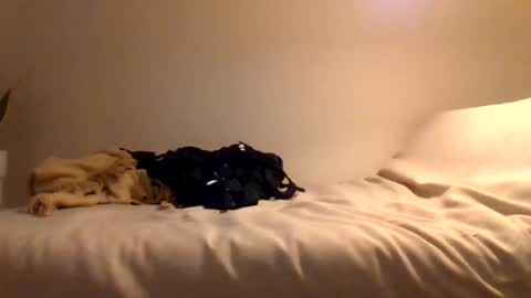 Snapshot of booty4pegging chatting on 03-03-25, 05:39 booty4pegging online show from 03-03-25, 05:39