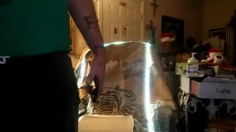 boredaf6678 online show from 12-25-24, 09:34