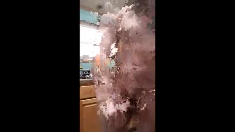 bossusaround online show from 01-11-26, 10:04