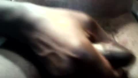 Snapshot of botofogo chatting on 10-31-25, 03:46 botofogo online show from 10-31-25, 03:46