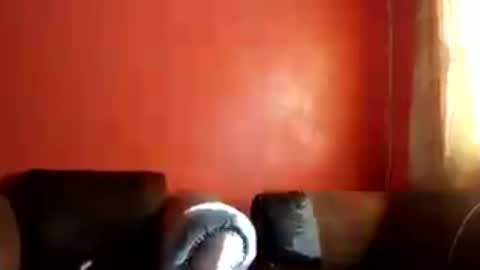 Snapshot of botsougaba chatting on 07-27-26, 07:48 botsougaba online show from 07-27-26, 07:48