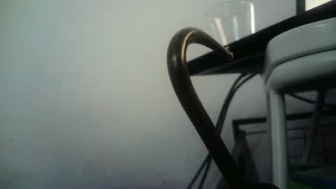 BottoMMlad online show from 01-09-25, 08:01