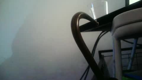 BottoMMlad online show from 01-10-25, 12:38
