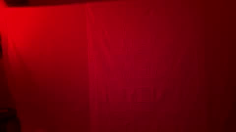 bowbowcow69 online show from 12-12-24, 12:16