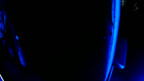 Bowerboi1217 online show from 07-04-26, 03:29