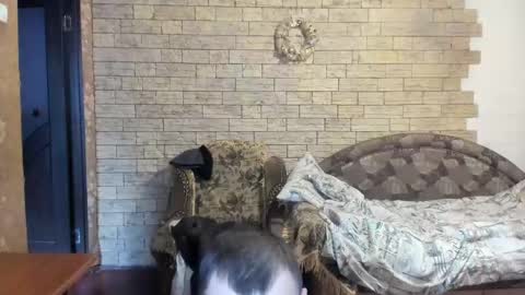 BoyApollon online show from 12-24-24, 12:11