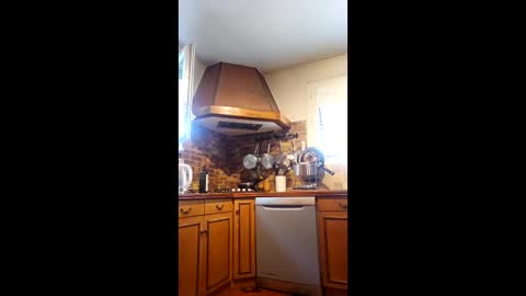boyaroues online show from 05-29-26, 08:01