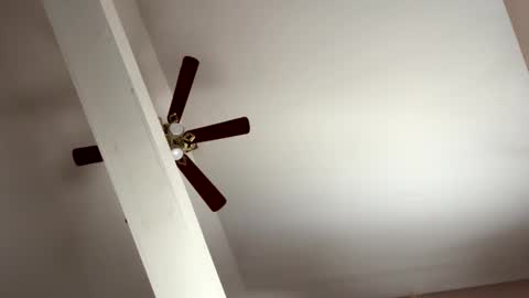 boysetsfire34 online show from 11-08-25, 05:23