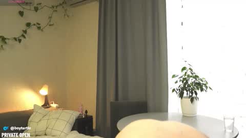 BoyTurtle online show from 11-05-25, 10:04