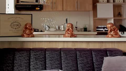 bradleymartin7 online show from 01-11-25, 09:25