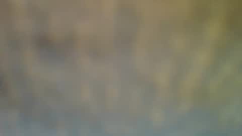 bradynoggle online show from 02-12-25, 06:40