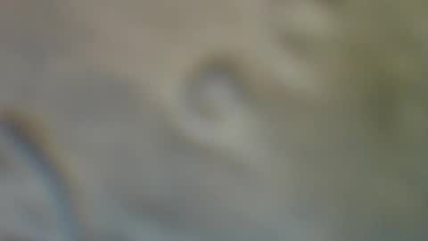 bradynoggle online show from 09-11-25, 02:55