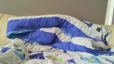 bramer8787 online show from 02-01-25, 09:00