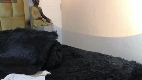 Brand  online show from 04-07-26, 11:48