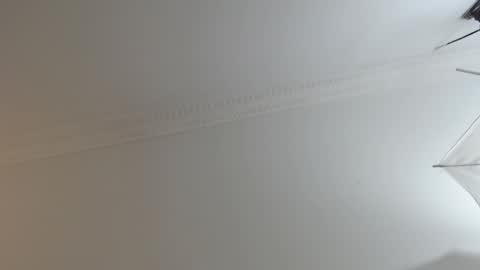 Snapshot of brandoncolee chatting on 02-10-25, 12:29 BrandonCole online show from 02-10-25, 12:29