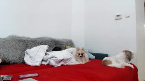 bratzdoll1994 online show from 11-04-25, 05:12