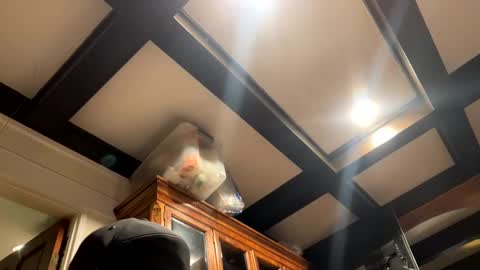 Snapshot of bravo323 chatting on 10-02-25, 06:26 bravo323 online show from 10-02-25, 06:26