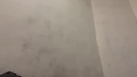 Snapshot of breanexe chatting on 10-29-25, 11:01 breanexe online show from 10-29-25, 11:01