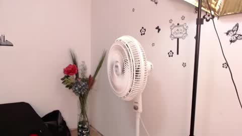 Brenda  online show from 01-29-25, 03:15