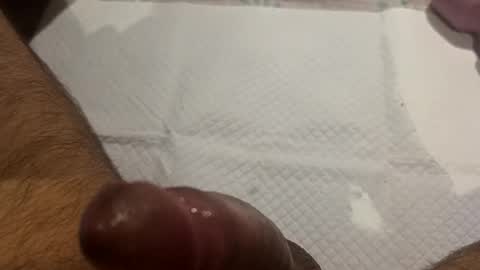 Snapshot of brenno95 chatting on 02-21-26, 11:11 brenno95 online show from 02-21-26, 11:11